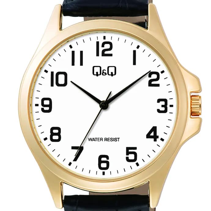 Мъжки часовник Q&Q - C36A-009PY