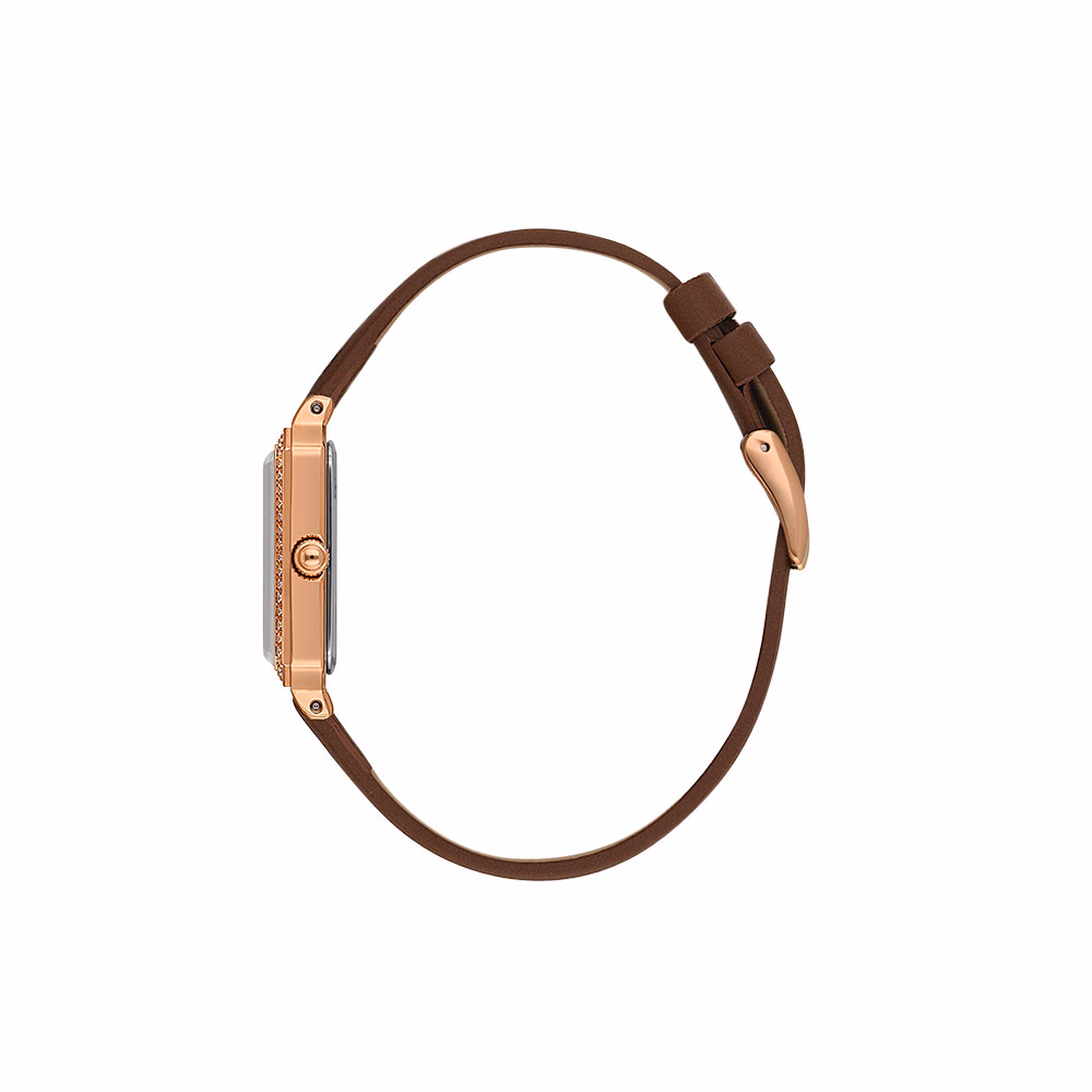 Daniel Klein Premium - Ceas Dama Quartz Cafeniu DK.1.13971.4