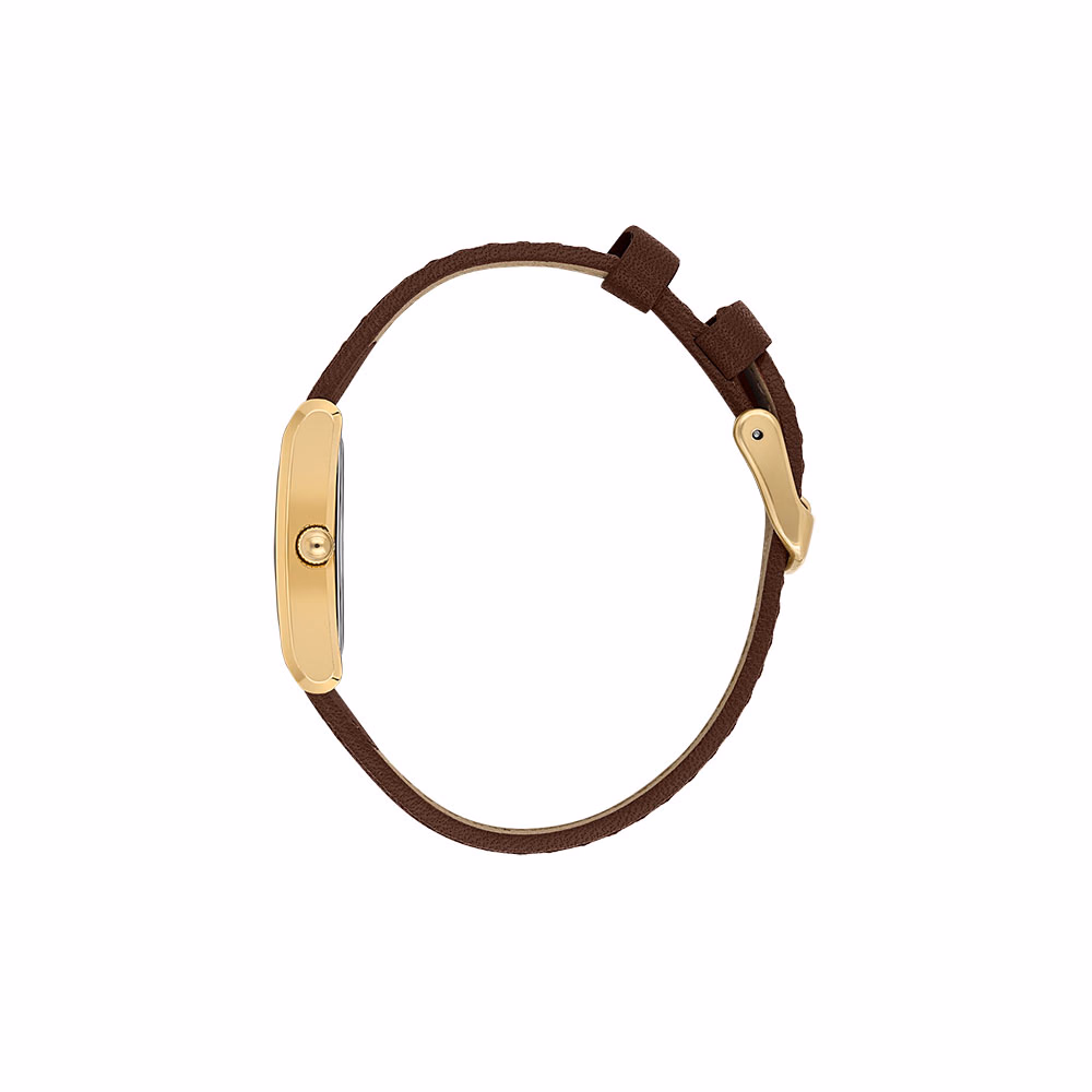 Daniel Klein Premium - Ceas Dama Quartz Maro DK.1.14124.2