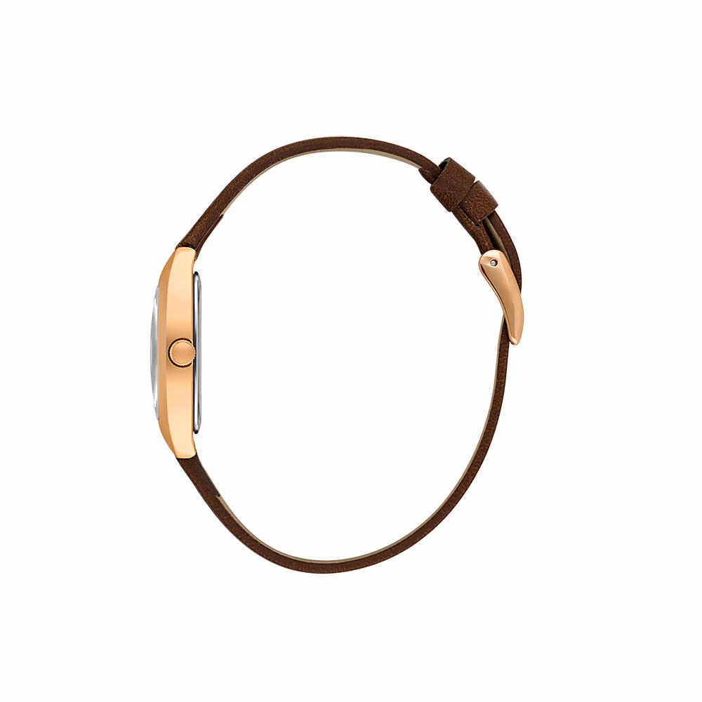 Daniel Klein Premium - Ceas Dama Quartz Maro DK.1.14120.5