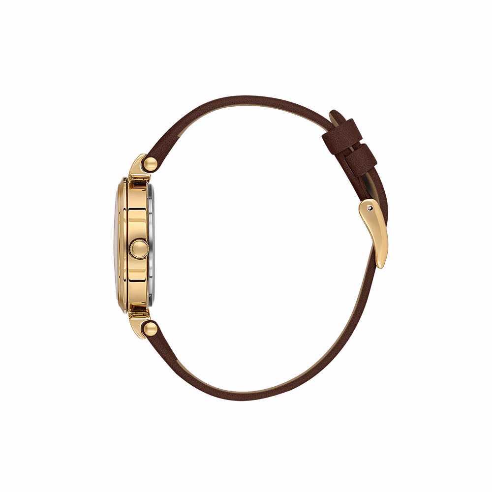Daniel Klein Premium - Ceas Dama Quartz Cafeniu DK.1.13967.4