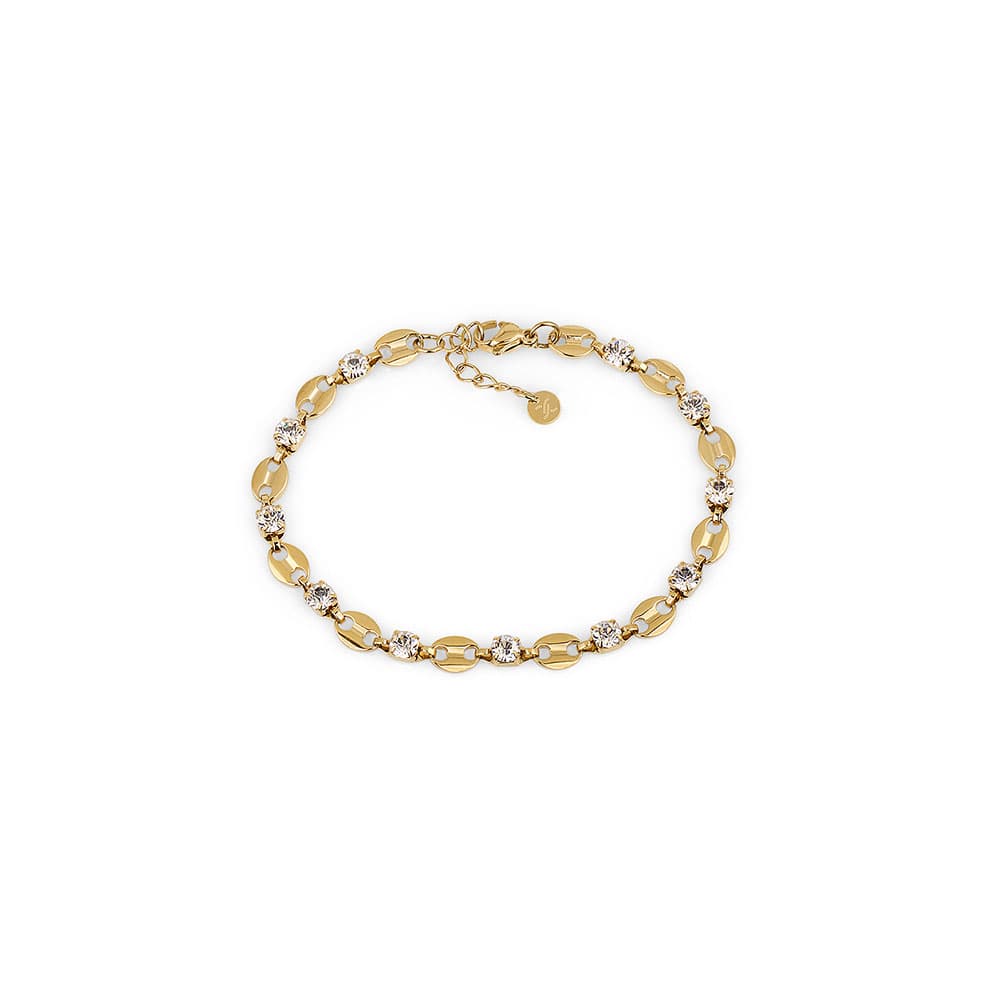 Bratara din Inox Daniel Klein Jewelry Dama DKJ.3.10015-2
