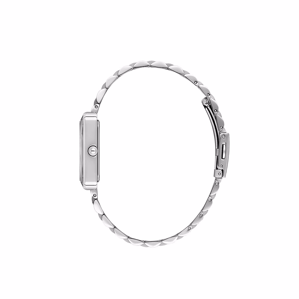 Daniel Klein Premium - Ceas Dama Quartz Argintiu DK.1.13875.1