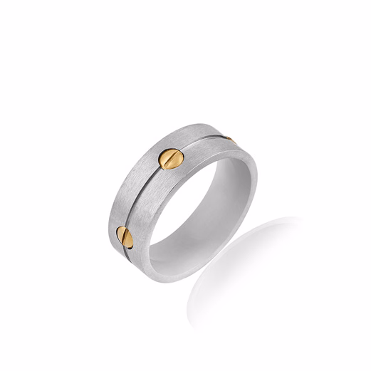 Inel din Inox Daniel Klein Jewelry Barbati DKJ.6.40001.L-3, marime L