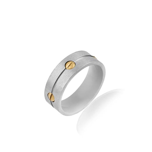 Inel din Inox Daniel Klein Jewelry Barbati DKJ.6.40001.L-3