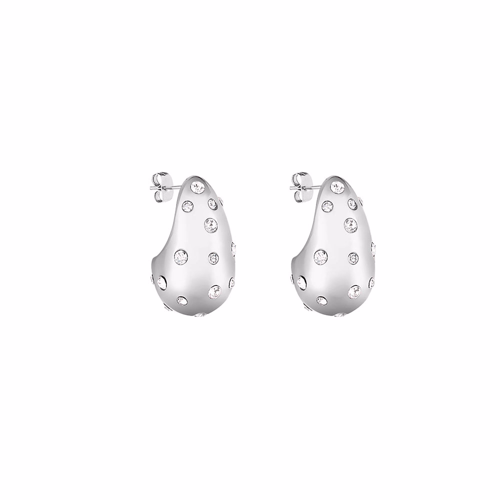 Cercei din Inox Daniel Klein Jewelry Dama DKJ.5.30010-1