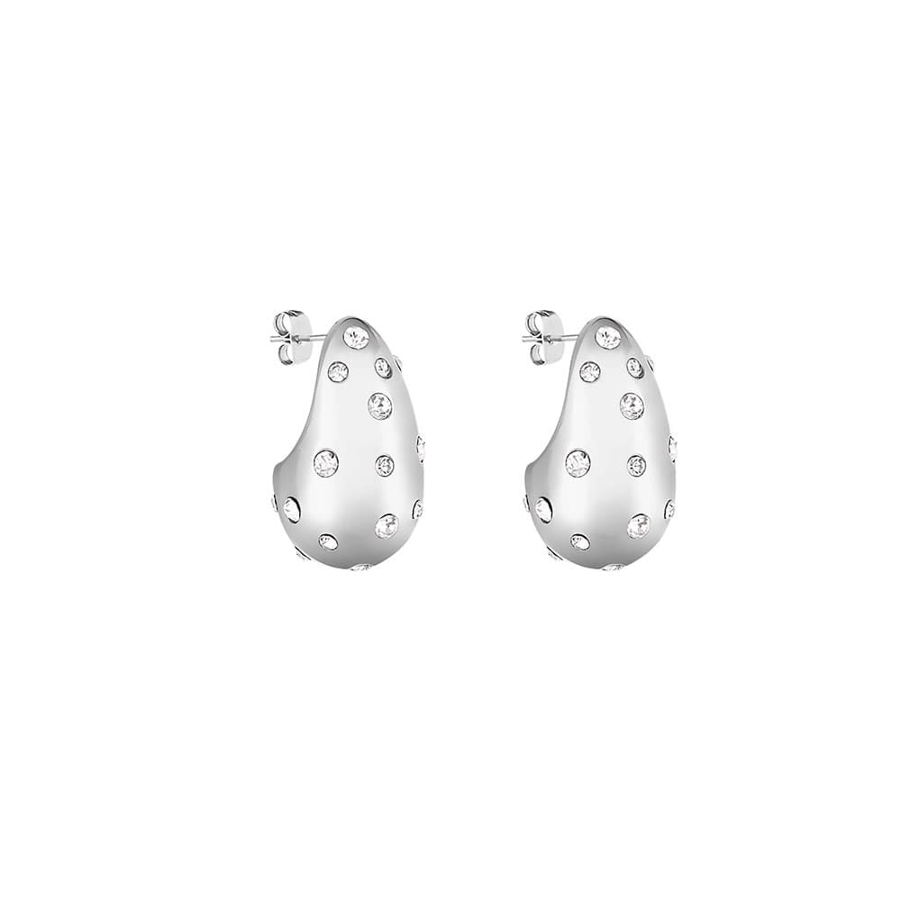 Cercei din Inox Daniel Klein Jewelry Dama DKJ.5.30010-1