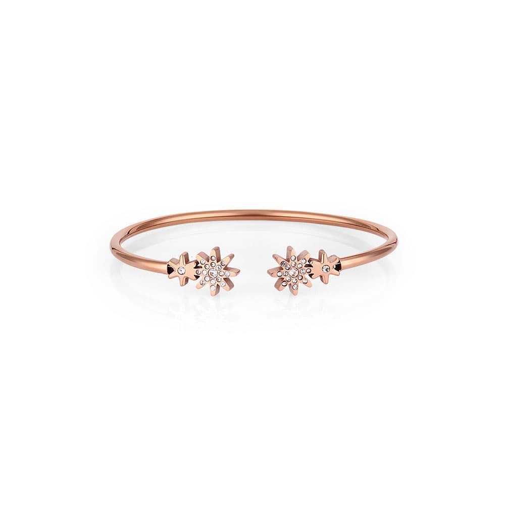 Bratara din Inox Daniel Klein Jewelry Dama DKJ.3.1085-3
