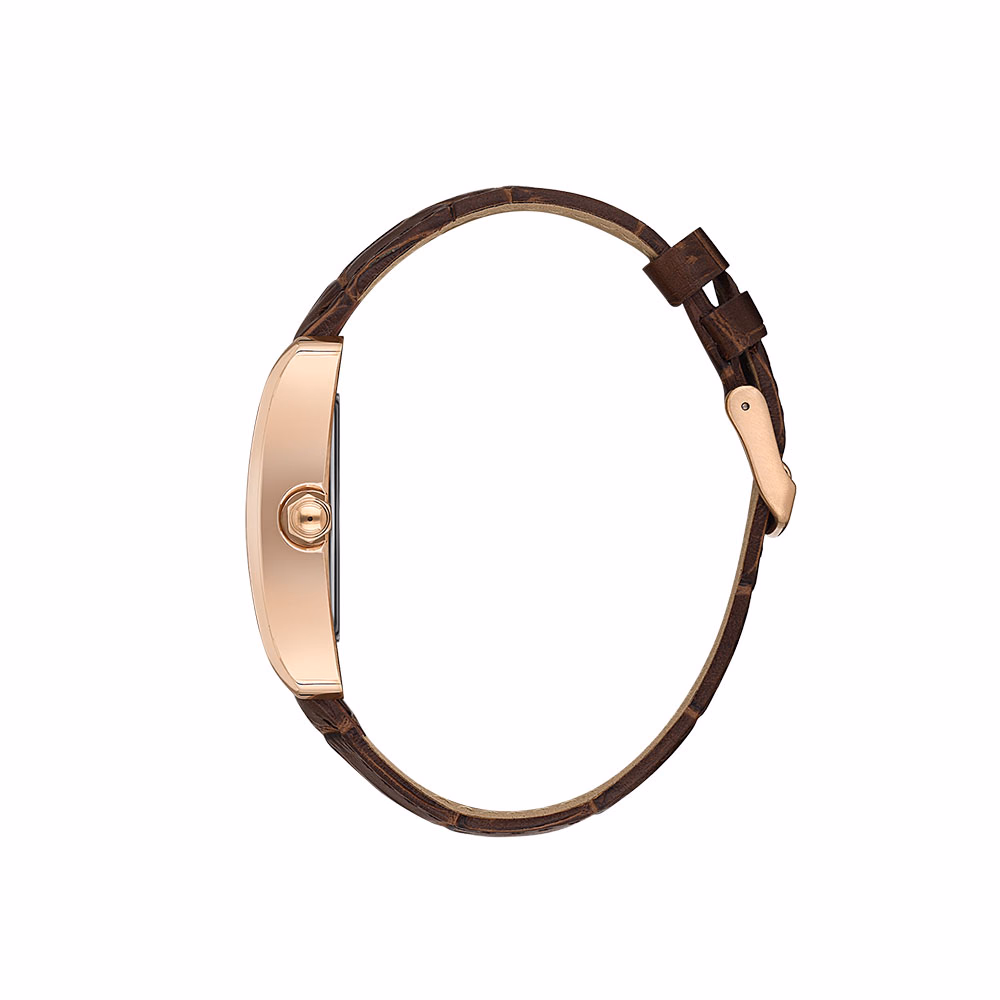 Daniel Klein Premium - Ceas Barbatesc Quartz Cafeniu DK.1.13909.5