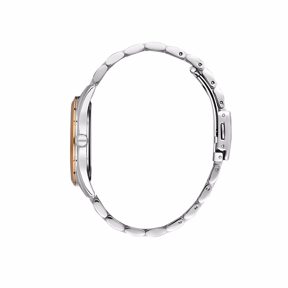 Daniel Klein Premium - Ceas Dama Quartz Argintiu DK.1.13340.5