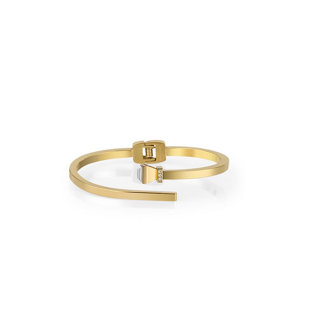 Bratara din Inox Daniel Klein Jewelry Dama DKJ.3.10018-2