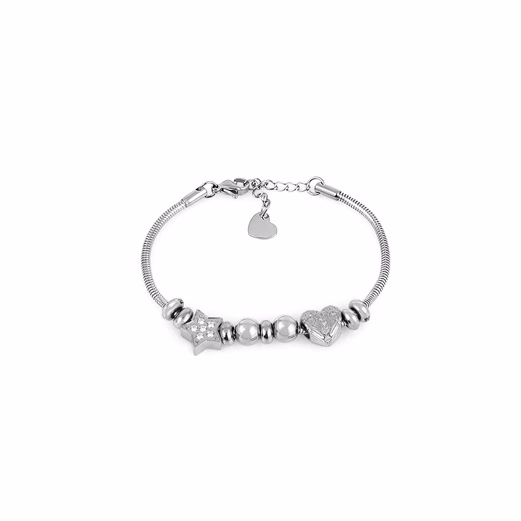Bratara din Inox Daniel Klein Jewelry Dama DKJ.3.10024-2
