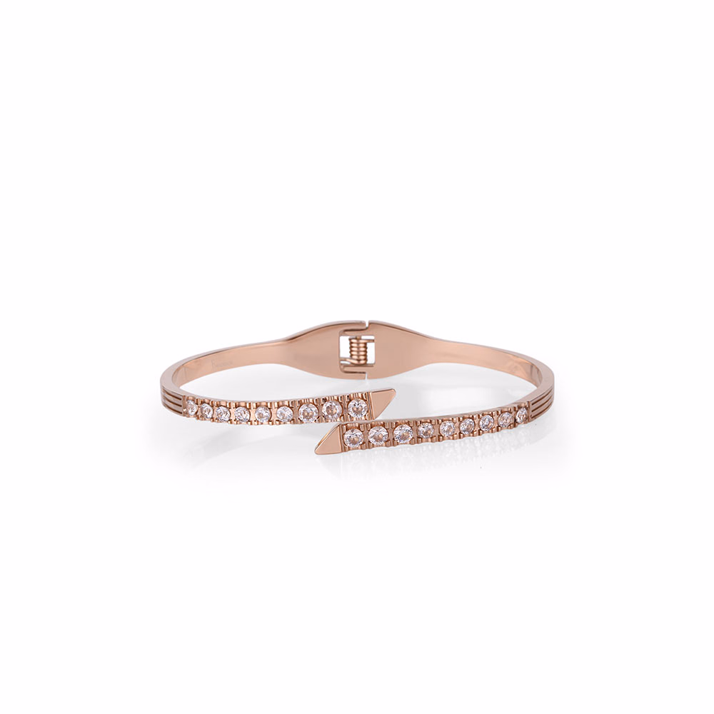 Bratara din Inox Freelook Jewelry Dama FRJ.3.3030-4
