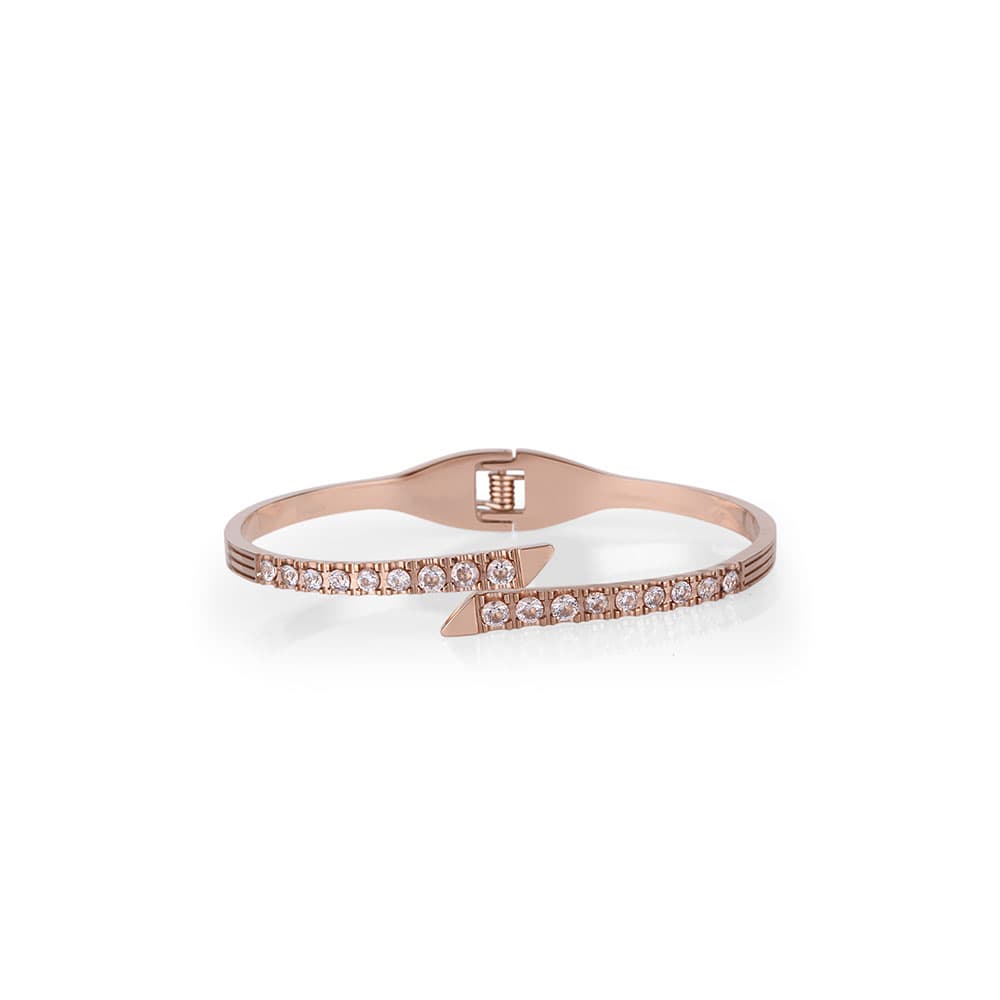 Bratara din Inox Freelook Jewelry Dama FRJ.3.3030-4